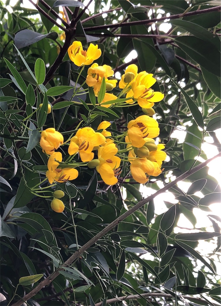 f:id:bf021hugtlang:20181012212254j:image f:id:bf021hugtlang:20181012212254j:image