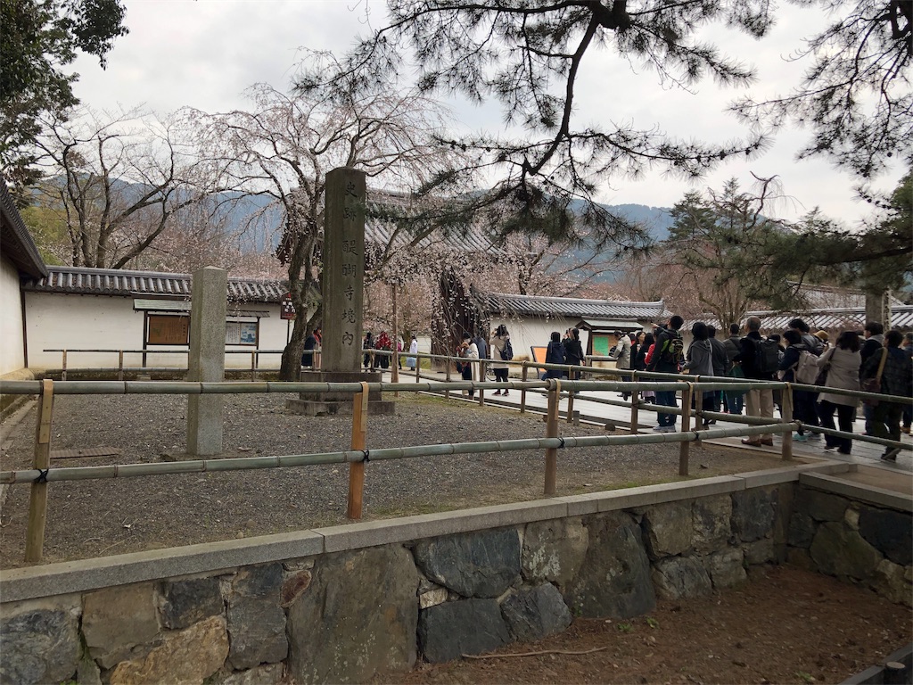 f:id:bf021hugtlang:20190403230552j:image