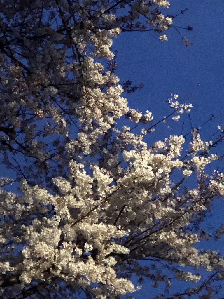 f:id:bf021hugtlang:20190405213858j:image