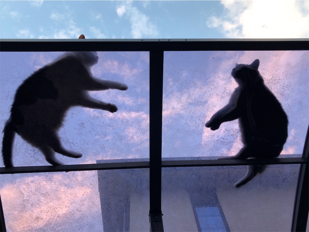 f:id:bf021hugtlang:20190801220815j:image