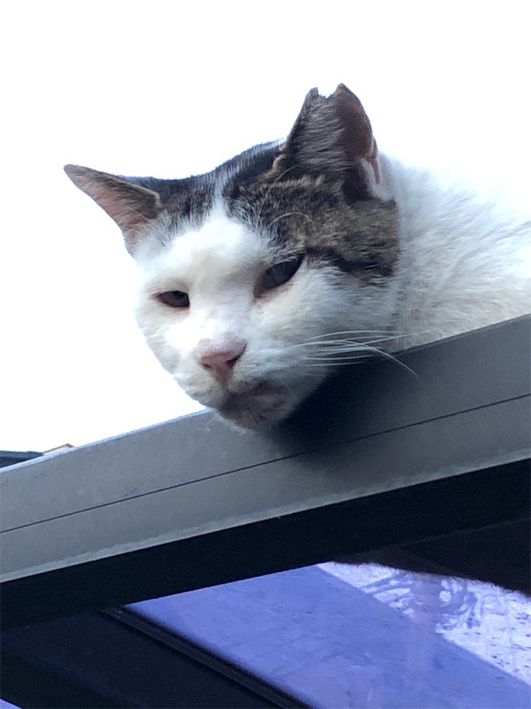f:id:bf021hugtlang:20190811234821j:image