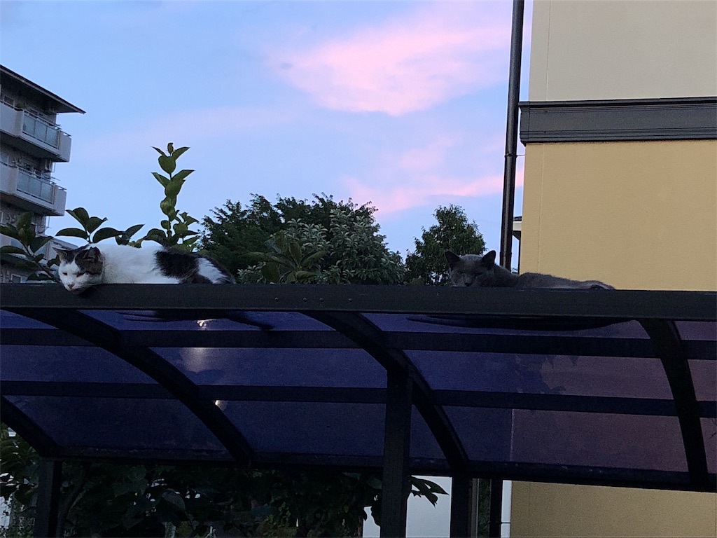 f:id:bf021hugtlang:20190811234827j:image