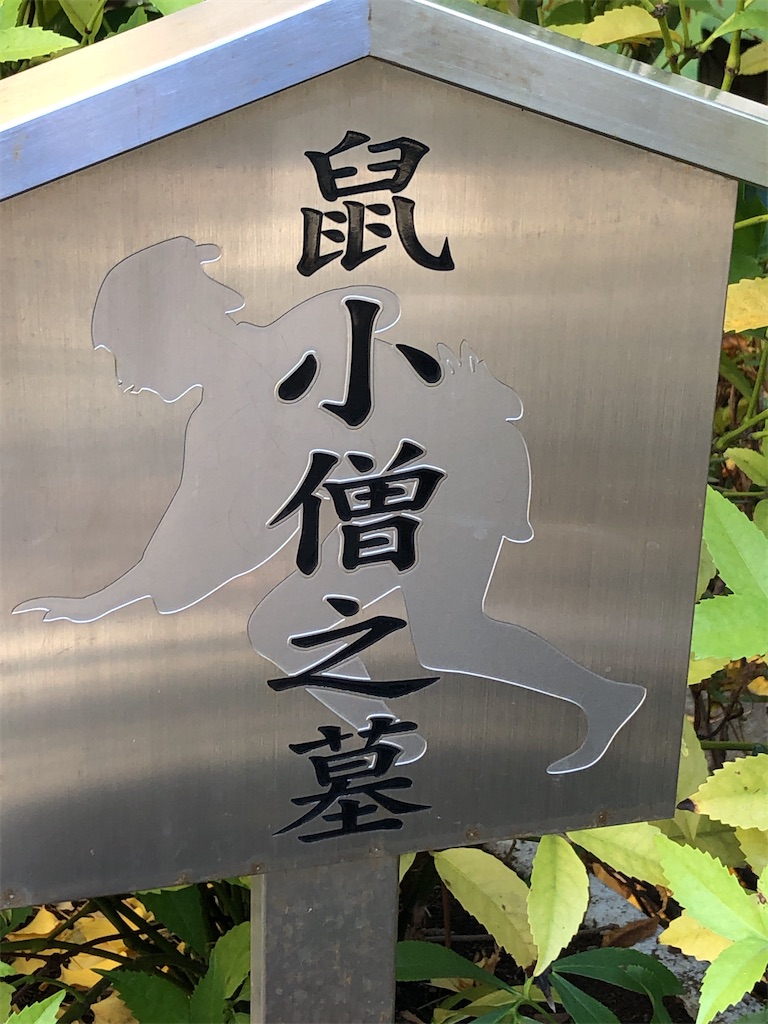 f:id:bf021hugtlang:20191220220248j:image