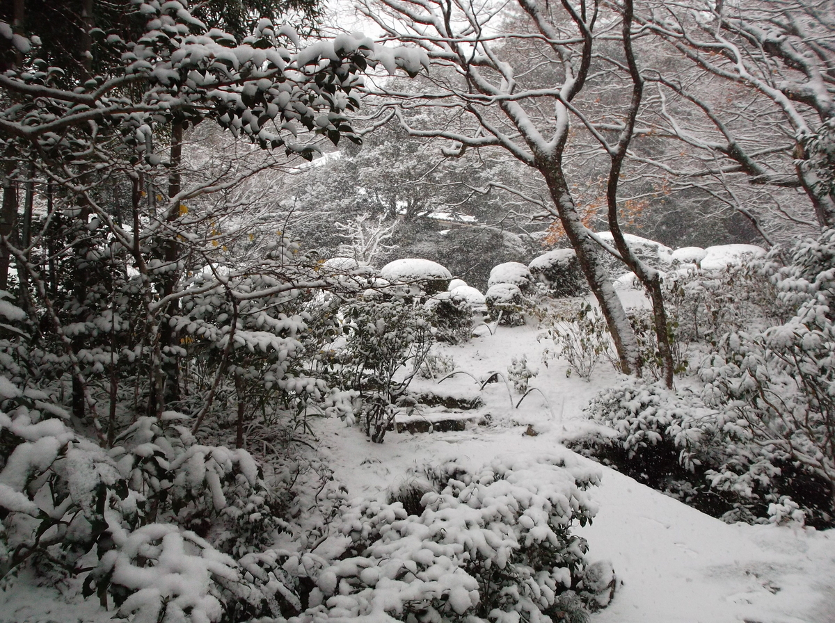 f:id:bf021hugtlang:20200217220646j:plain f:id:bf021hugtlang:20200217220646j:plain