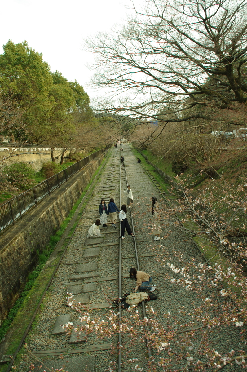 f:id:bf021hugtlang:20200217220948j:plain f:id:bf021hugtlang:20200217220948j:plain