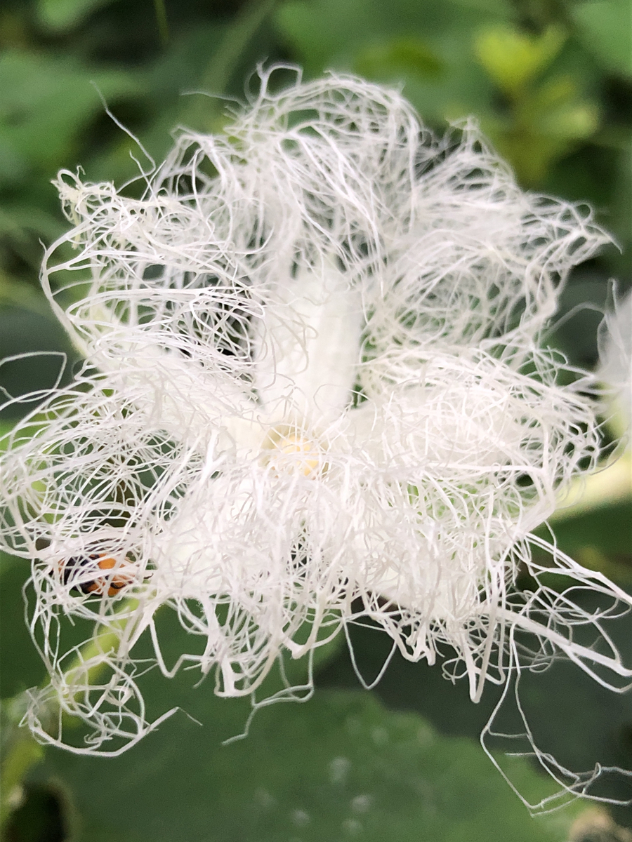 f:id:bf021hugtlang:20200711213532j:plain f:id:bf021hugtlang:20200711213532j:plain