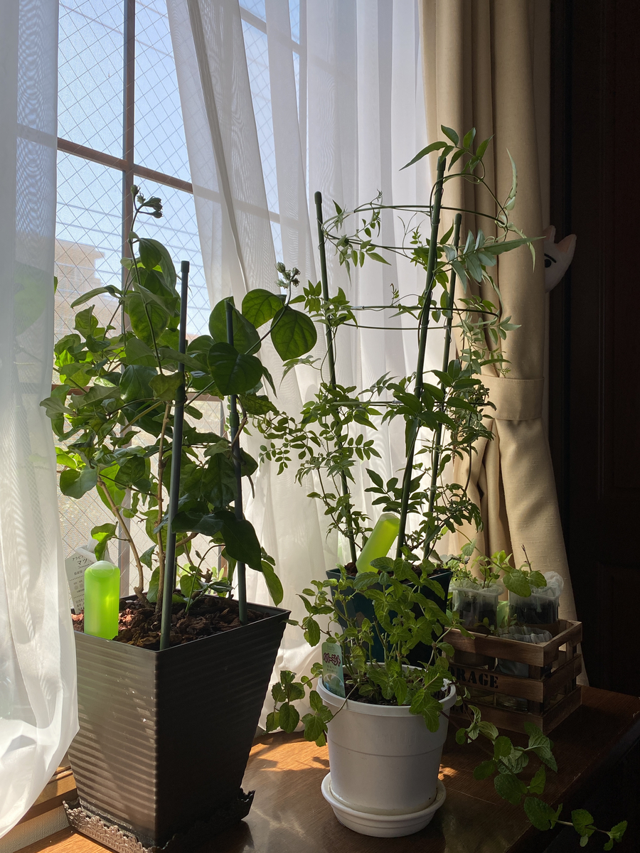 f:id:bf021hugtlang:20200820204001j:plain f:id:bf021hugtlang:20200820204001j:plain