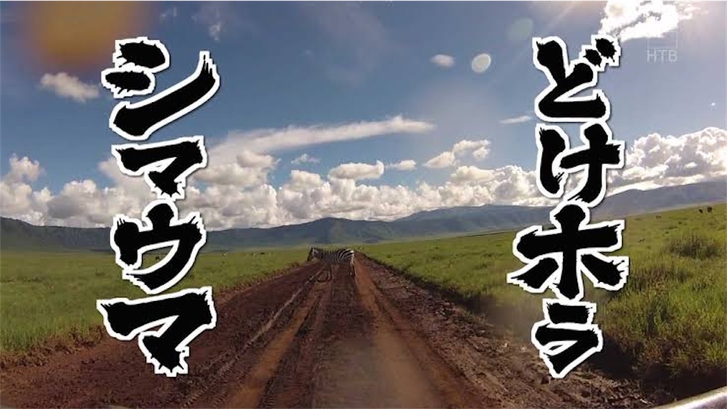 f:id:bf021hugtlang:20210607201638j:image