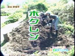 f:id:bf021hugtlang:20211101225759j:plain