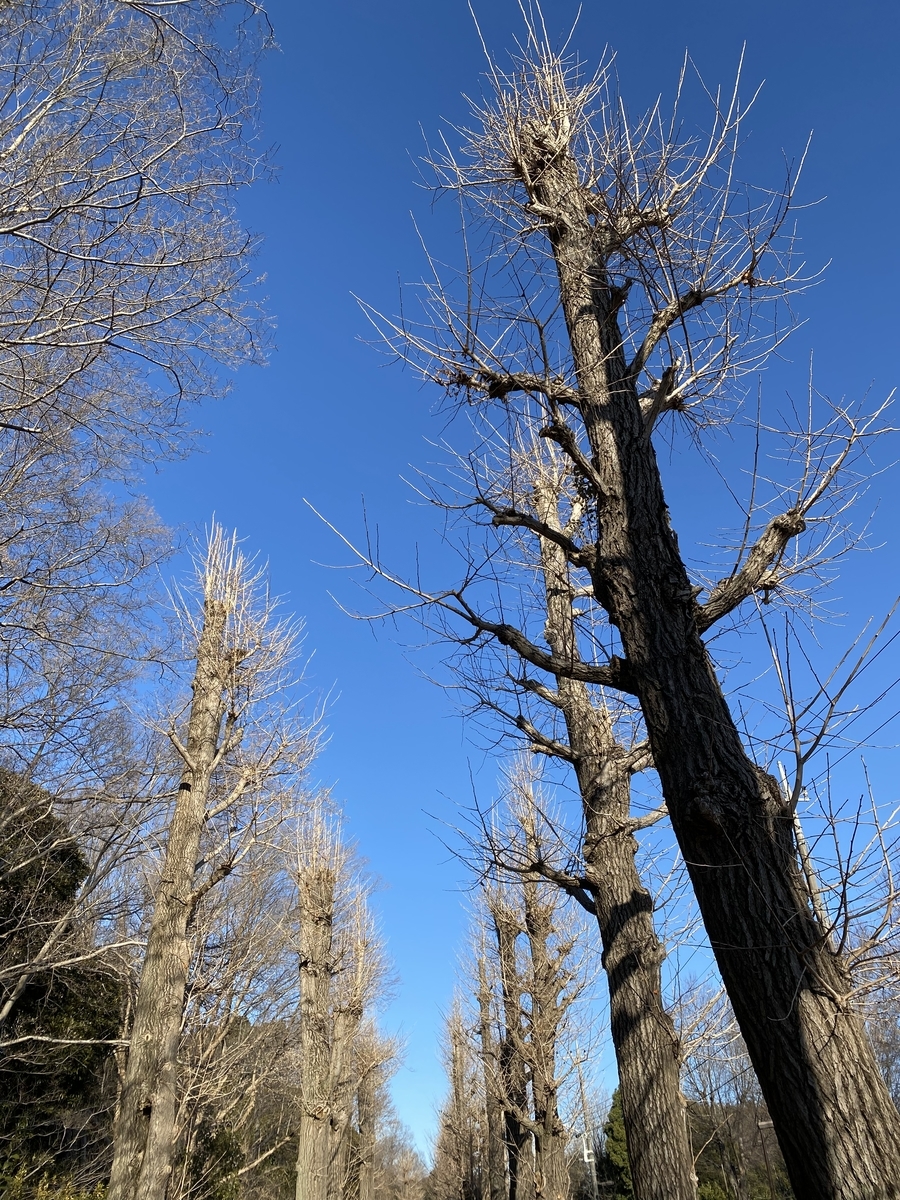 f:id:bf021hugtlang:20220218220017j:plain