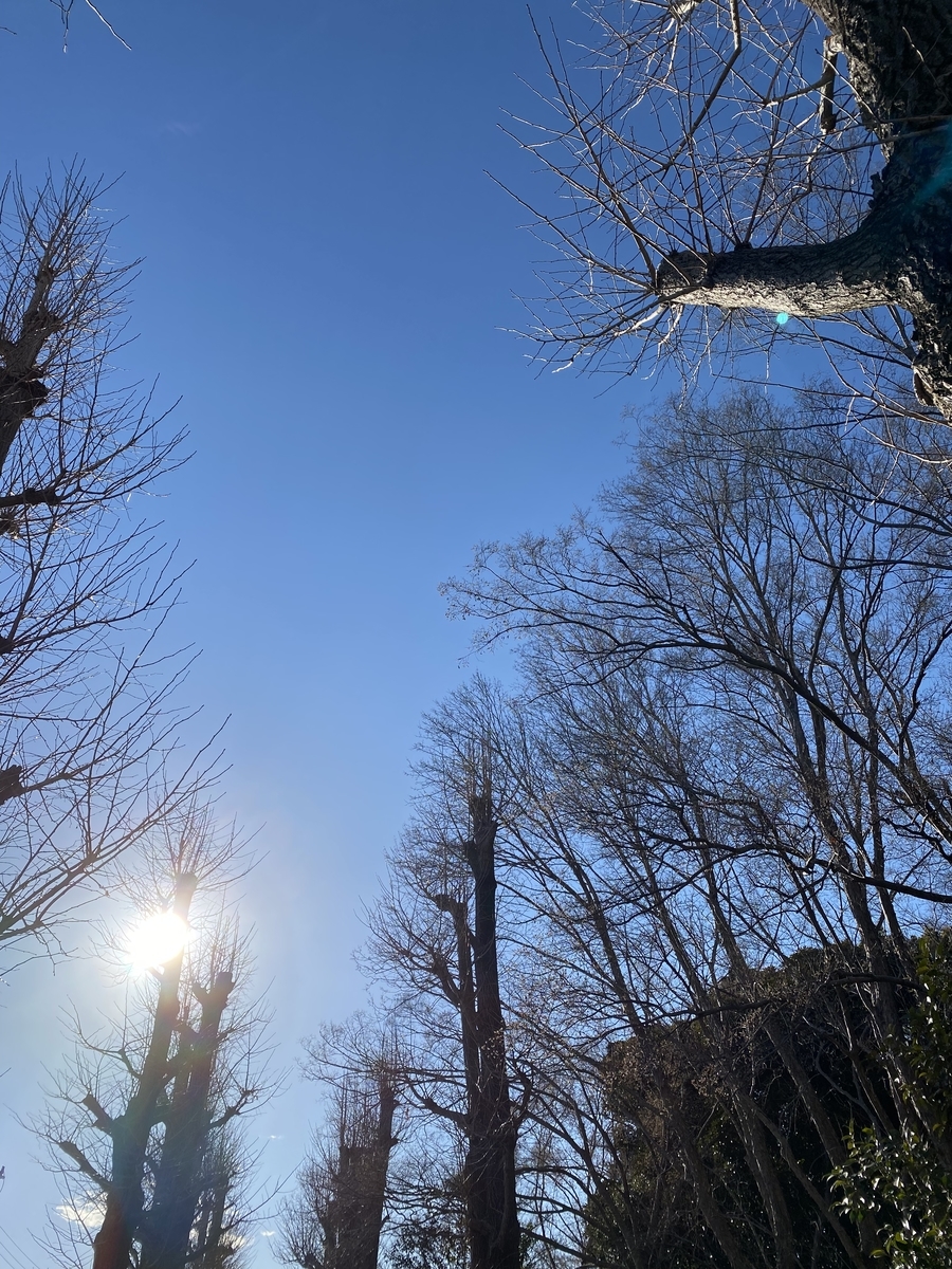 f:id:bf021hugtlang:20220218220049j:plain