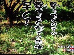 f:id:bf021hugtlang:20220309232657j:plain