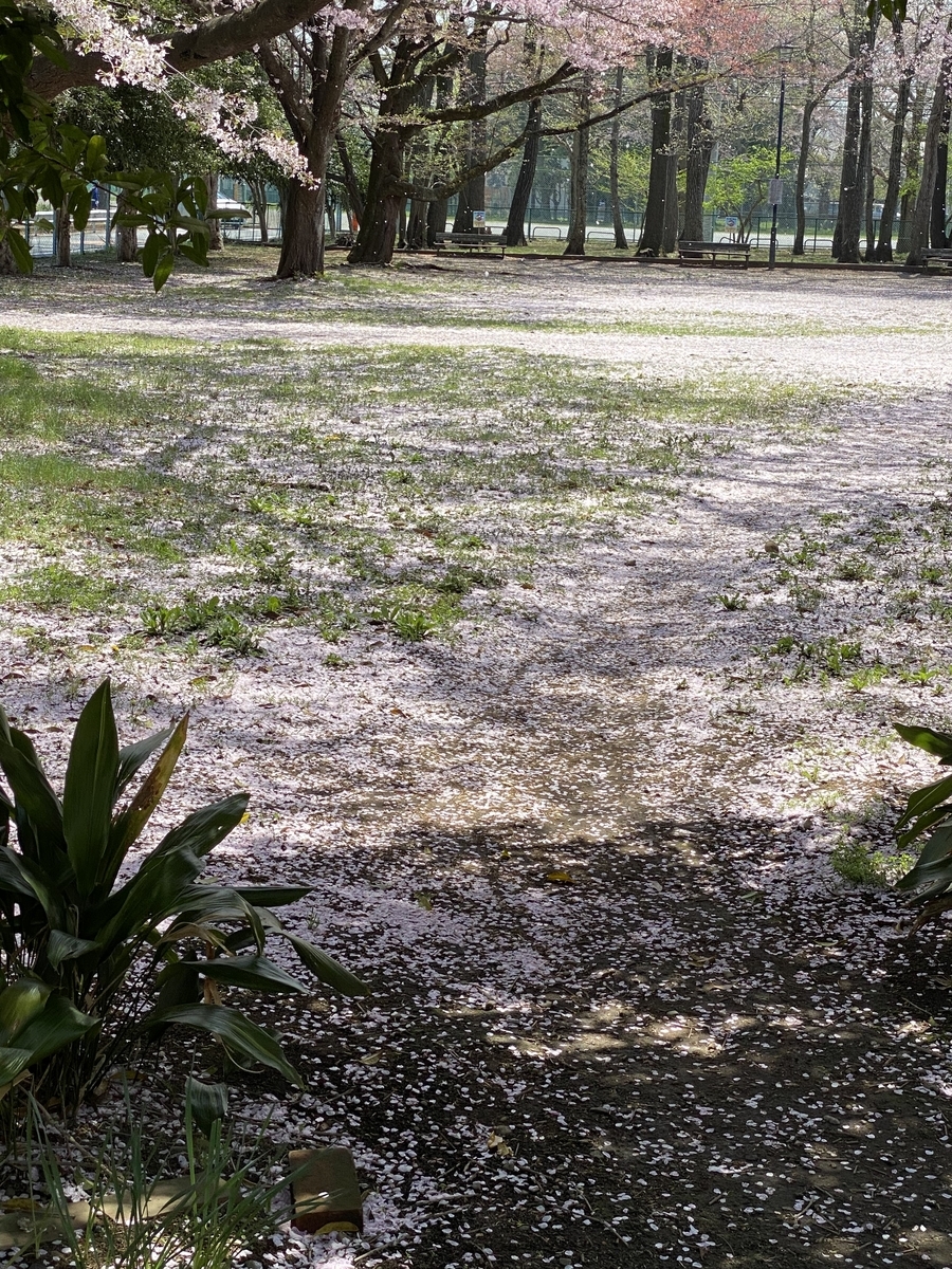 f:id:bf021hugtlang:20220408224957j:plain