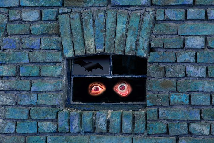 f:id:bg4kids:20161126142200j:plain