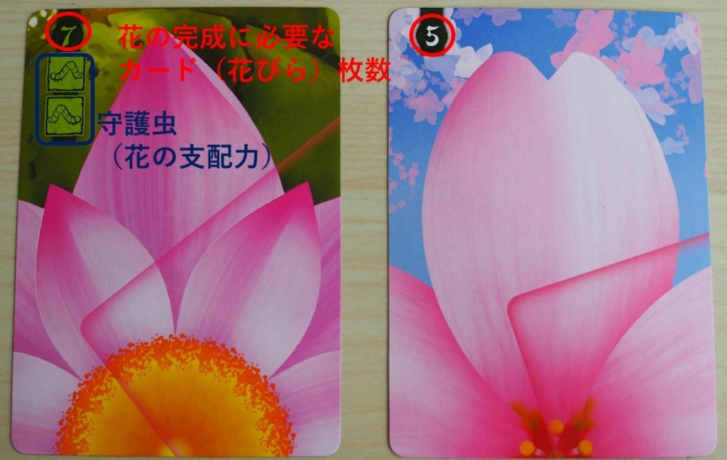 蓮園に美しい花を咲かせよう カードゲーム ロータス Lotus 親子ボードゲームで楽しく学ぶ