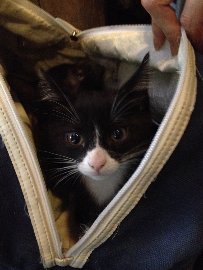 f:id:bharatiiya:20171214233714j:image