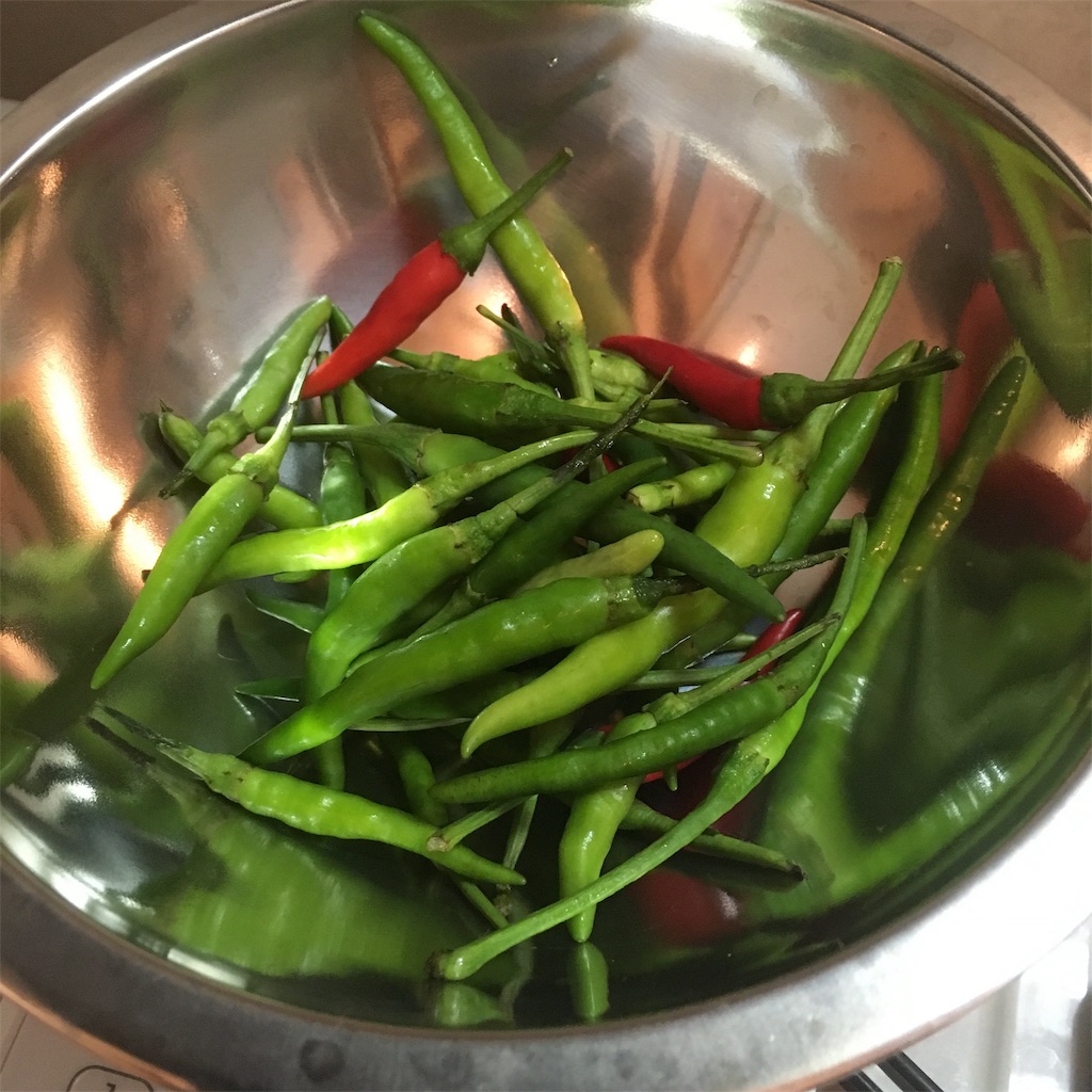 f:id:bharatiiya:20191002102139j:image