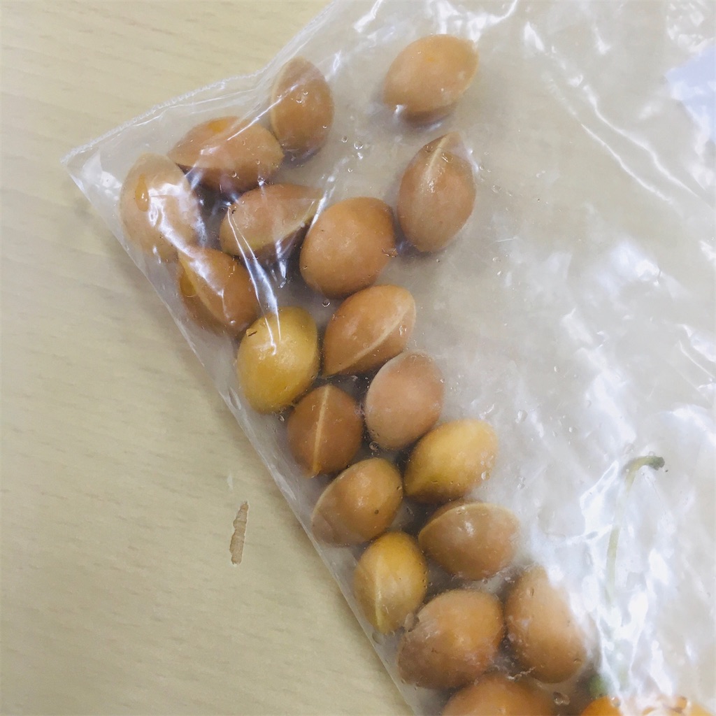 f:id:bharatiiya:20201021021428j:image f:id:bharatiiya:20201021021428j:image