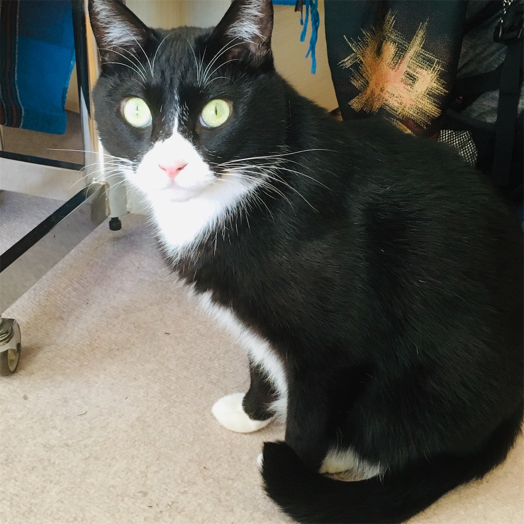 f:id:bharatiiya:20210103081025j:image