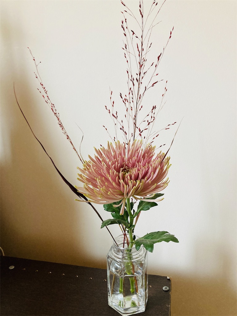 f:id:bharatiiya:20240910102456j:image f:id:bharatiiya:20240910102456j:image