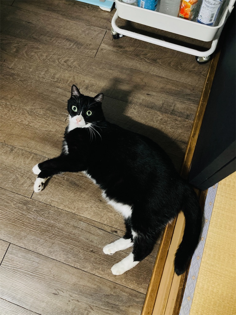 f:id:bharatiiya:20240915094149j:image f:id:bharatiiya:20240915094149j:image