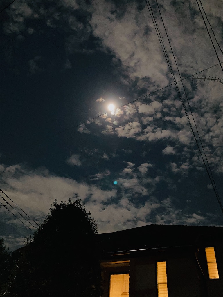 f:id:bharatiiya:20240918122730j:image f:id:bharatiiya:20240918122730j:image