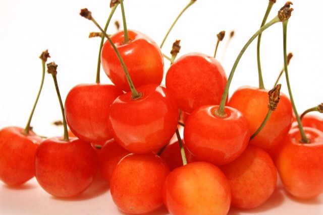 f:id:bi1dama:20190116230854j:plain f:id:bi1dama:20190116230854j:plain