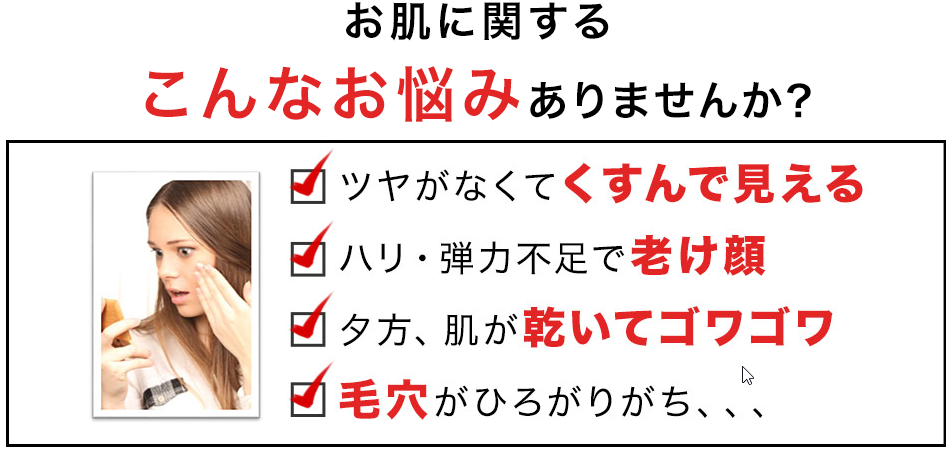 f:id:bi2:20170205214303p:plain