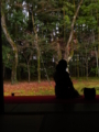 [大徳寺][高桐院]koutouin_07