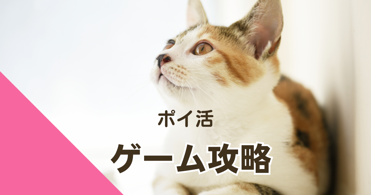 ゲームでポイ活】もふもふ！お弁当パズル_No.1〜NO.81獲得_2023年8月 