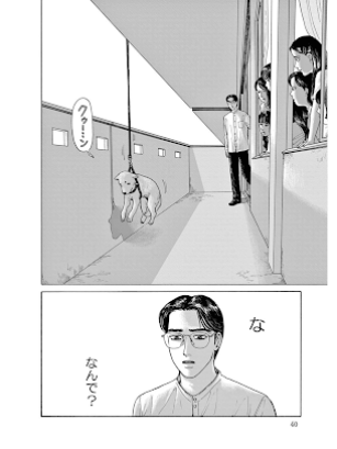 f:id:biacco42:20200804012328p:plain