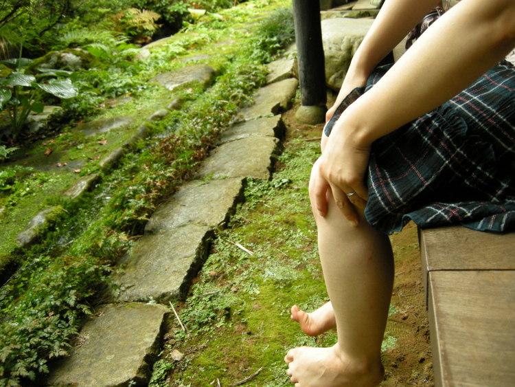 f:id:bianoa:20080828153219j:image:w500 f:id:bianoa:20080828153219j:image:w500