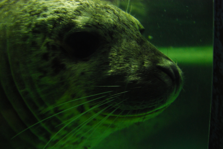 f:id:bianoa:20080905102712j:image:w500 f:id:bianoa:20080905102712j:image:w500