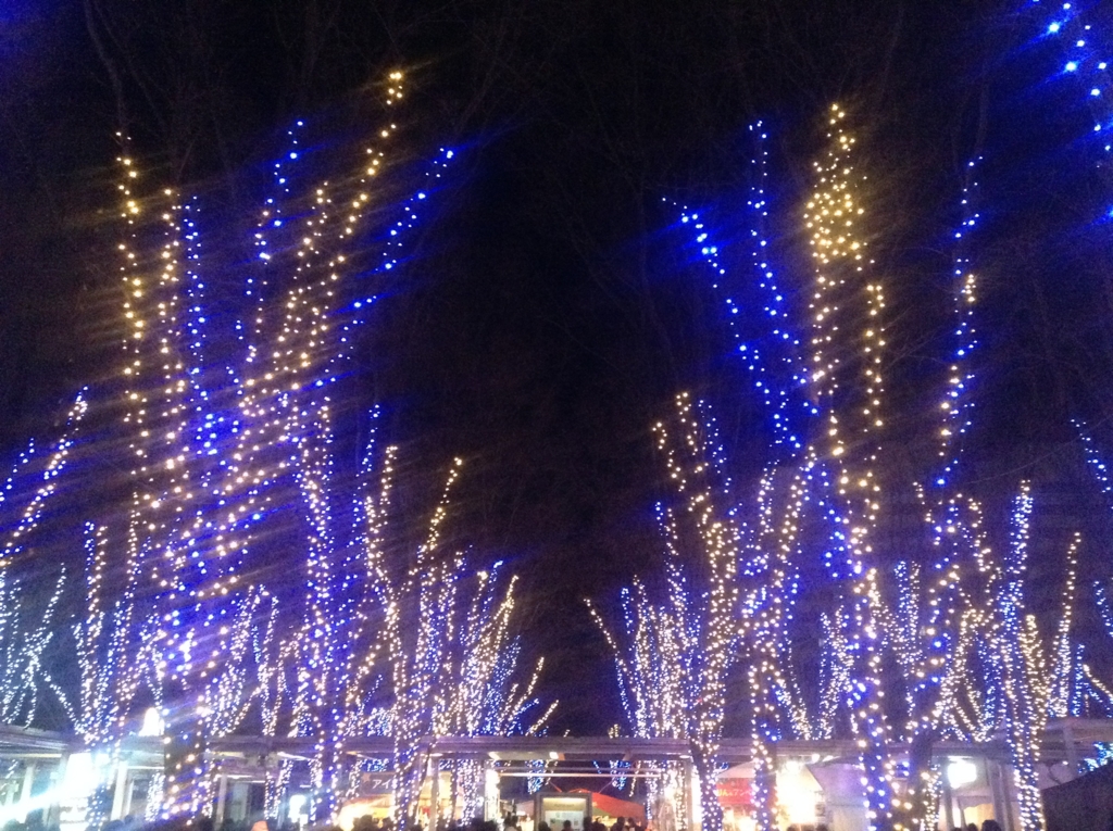 f:id:bibbidi-bobbidi-do:20161223200218j:plain