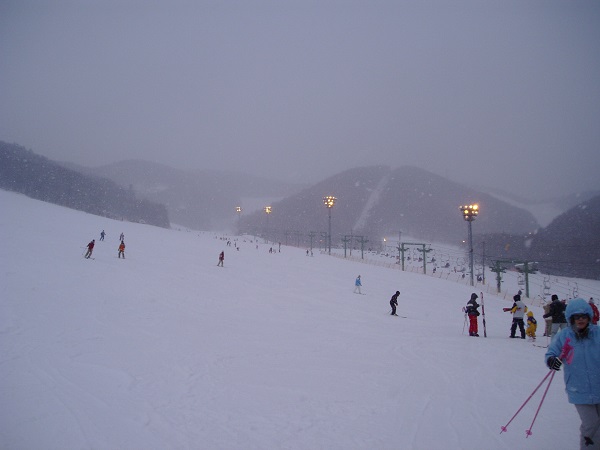 f:id:bibi-kirara:20200323115312j:plain
