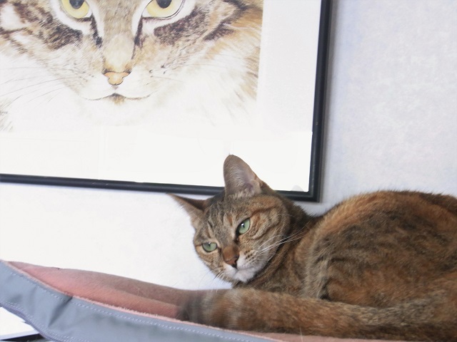 f:id:bibi-kirara:20200416171333j:plain