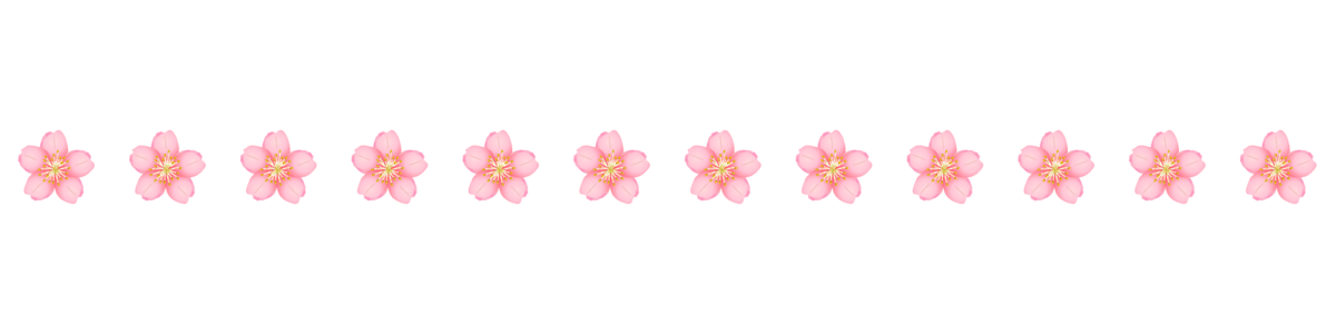 f:id:bibi-kirara:20200512112720p:plain