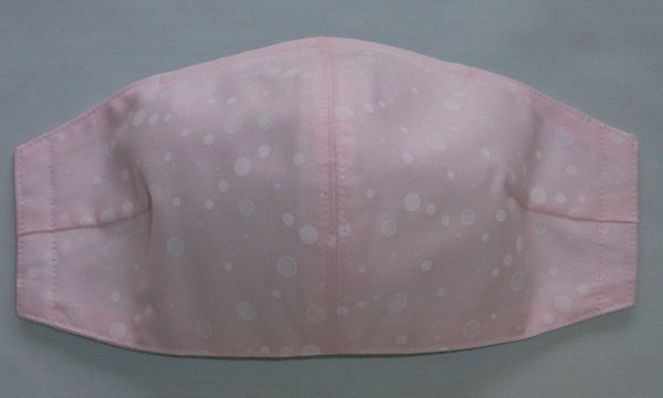 f:id:bibi-kirara:20200624234542j:plain