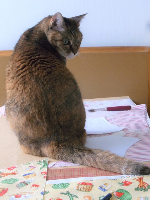 f:id:bibi-kirara:20200626140644j:plain