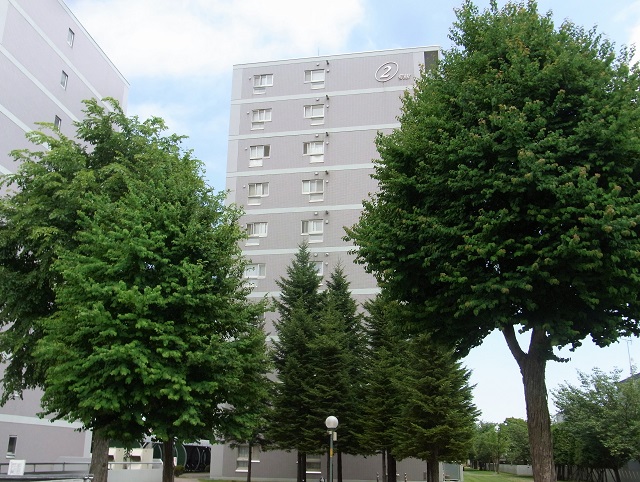 f:id:bibi-kirara:20200718064818j:plain
