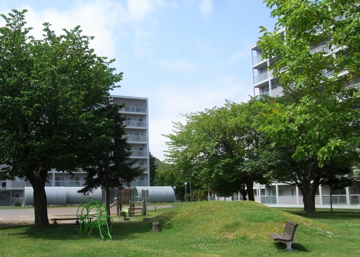 f:id:bibi-kirara:20200718064938j:plain