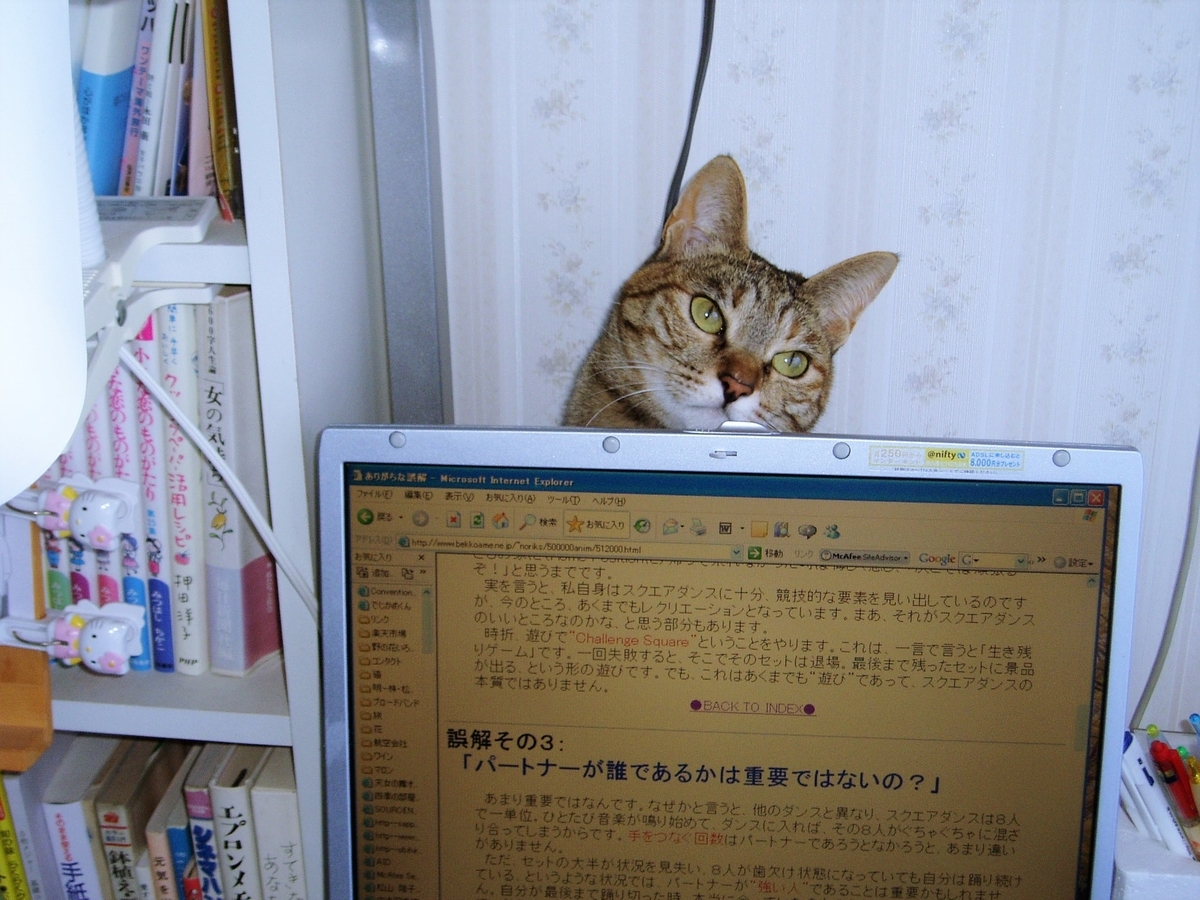f:id:bibi-kirara:20200804221635j:plain