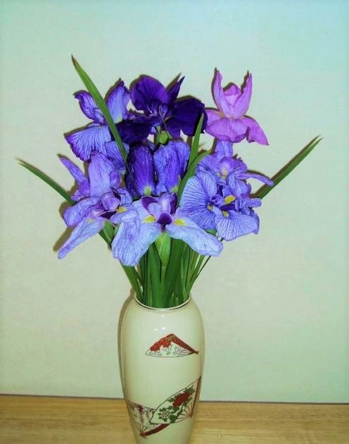 f:id:bibi-kirara:20200805230802j:plain