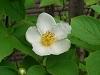 f:id:bibi-kirara:20201026165755j:plain
