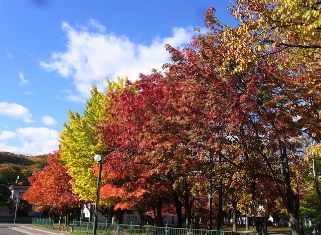 f:id:bibi-kirara:20201029003041j:plain