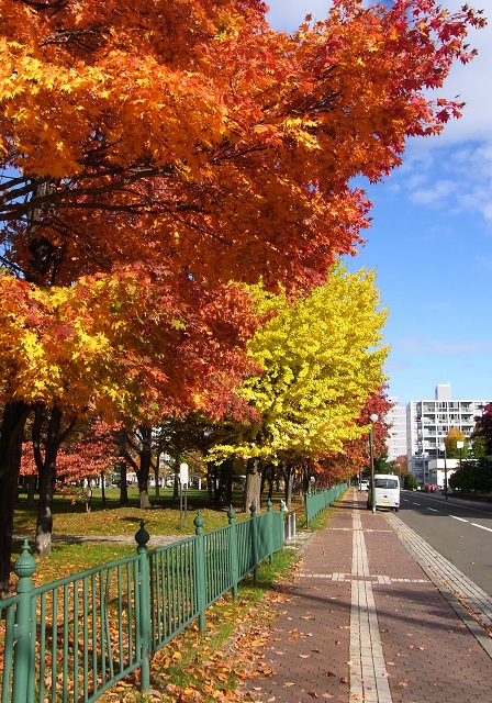 f:id:bibi-kirara:20201029003151j:plain