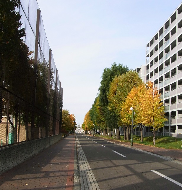 f:id:bibi-kirara:20201030144521j:plain