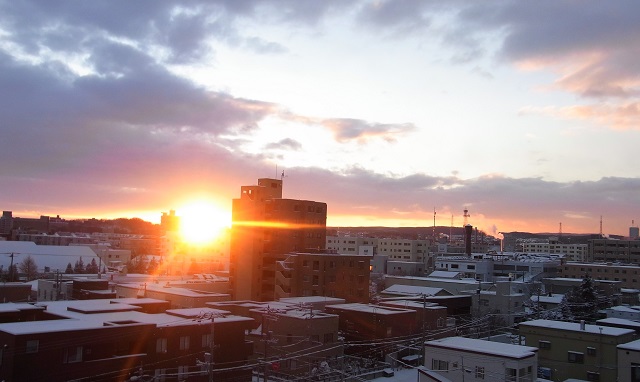 f:id:bibi-kirara:20210103134948j:plain