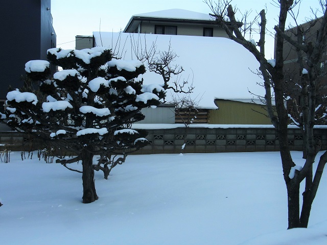 f:id:bibi-kirara:20210106235333j:plain