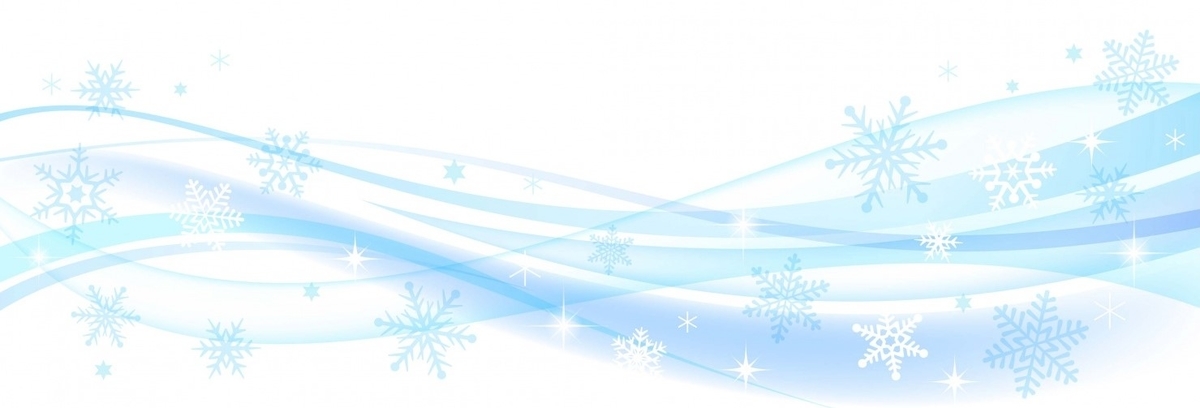 f:id:bibi-kirara:20210117141202j:plain